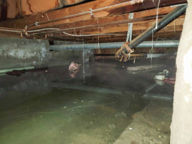 Best Commercial water damage restoration  in Franklin, VA