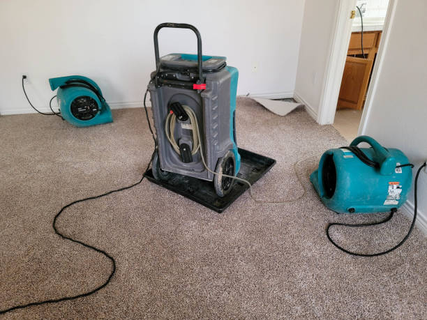 Best 24-hour water damage restoration  in Franklin, VA